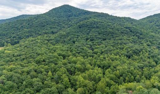 Photo #25 of 96 Acres BLACKWELLS HOLLOW RD, CROZET, VA 96.0 acres
