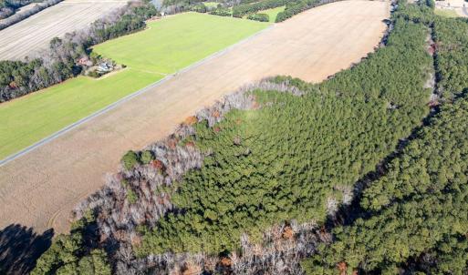 Photo #10 of FOLLY CREEK RD, ACCOMAC, VA 93.0 acres