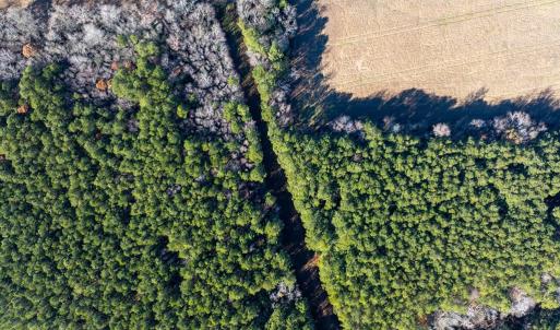 Photo #11 of FOLLY CREEK RD, ACCOMAC, VA 93.0 acres