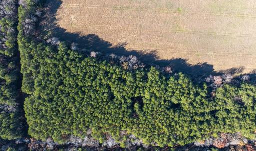 Photo #12 of FOLLY CREEK RD, ACCOMAC, VA 93.0 acres