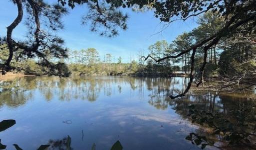 Photo #19 of FOLLY CREEK RD, ACCOMAC, VA 93.0 acres