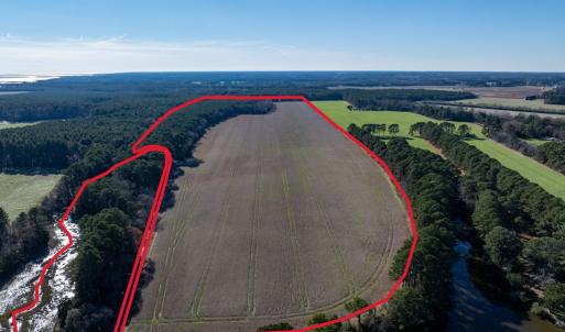 Photo #2 of FOLLY CREEK RD, ACCOMAC, VA 93.0 acres