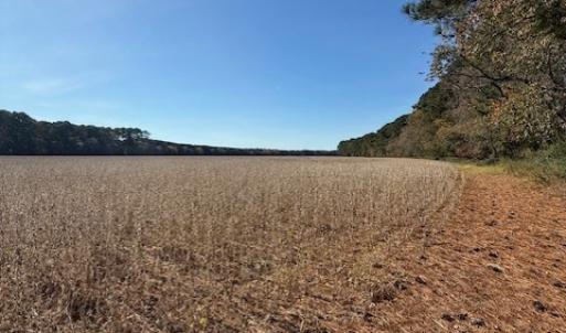 Photo #21 of FOLLY CREEK RD, ACCOMAC, VA 93.0 acres
