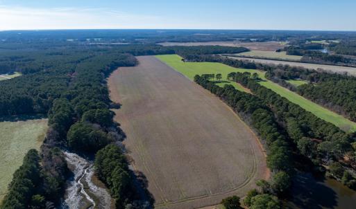 Photo #3 of FOLLY CREEK RD, ACCOMAC, VA 93.0 acres