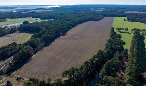 Photo #4 of FOLLY CREEK RD, ACCOMAC, VA 93.0 acres