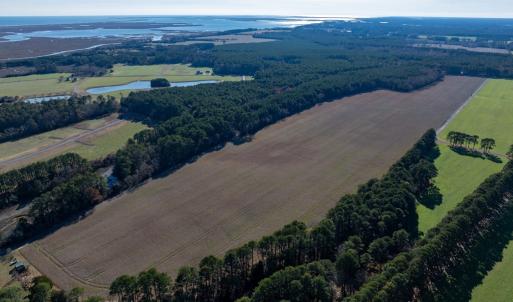 Photo #5 of FOLLY CREEK RD, ACCOMAC, VA 93.0 acres
