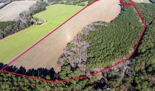 Photo #9 of FOLLY CREEK RD, ACCOMAC, VA 93.0 acres