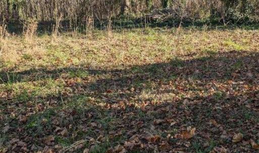 Clear building site.