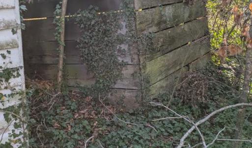 Nice old boards in here,,