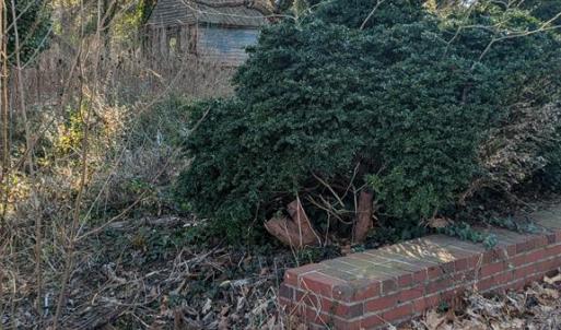 Photo #11 of 23514 FRONT ST, ACCOMAC, VA 3.9 acres