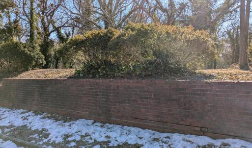 Brick Wall, Raised property from Front Street giving privacy and class.