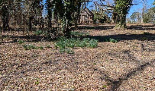 Photo #6 of 23514 FRONT ST, ACCOMAC, VA 3.9 acres