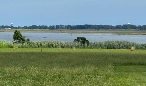 Photo #13 of 12 BAY VIEW LANE, ATLANTIC, VA 153.0 acres