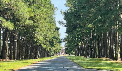 Photo #14 of Lot 14 CORBIN HALL LN, HORNTOWN, VA 150.0 acres