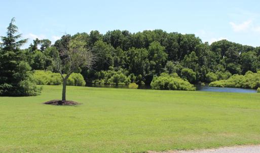 Photo #6 of Lot 14 CORBIN HALL LN, HORNTOWN, VA 150.0 acres
