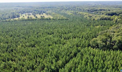 Photo #10 of JEFFERSON HWY, LOUISA, VA 62.2 acres