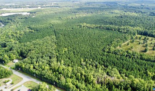 Photo #6 of JEFFERSON HWY, LOUISA, VA 62.2 acres