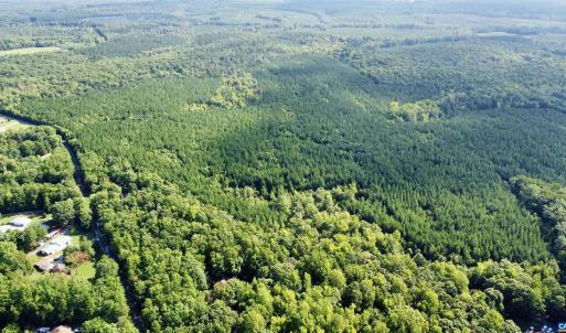 Photo #5 of SCHOOL BUS RD, LOUISA, VA 106.7 acres