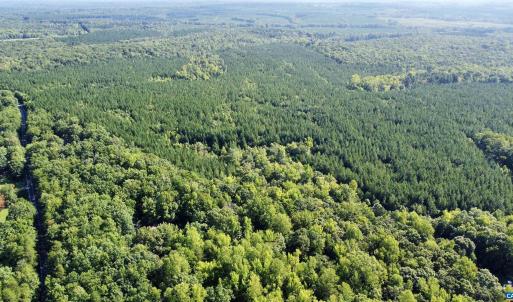 Photo #7 of SCHOOL BUS RD, LOUISA, VA 106.7 acres