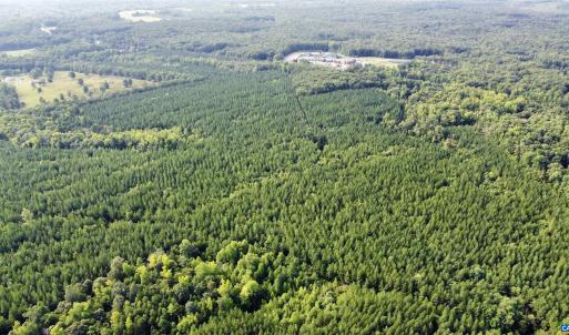 Photo #3 of SCHOOL BUS RD, LOUISA, VA 106.7 acres
