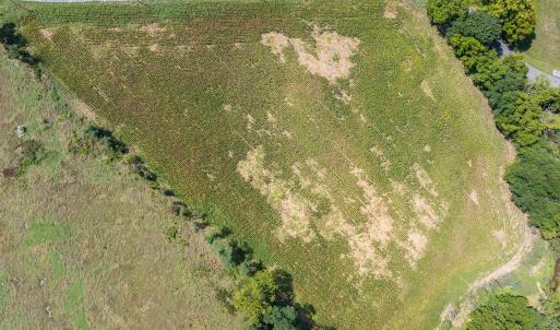 Photo #6 of TBD MICHAEL LN, ELKTON, VA 6.5 acres