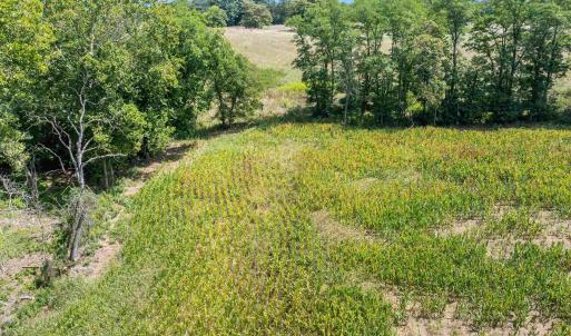 Photo #8 of TBD MICHAEL LN, ELKTON, VA 6.5 acres