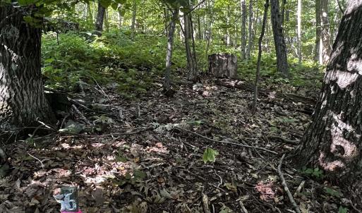 Photo #8 of TBD SHAMOKIN SPRINGS TRL, WINTERGREEN RESORT, VA 0.4 acres