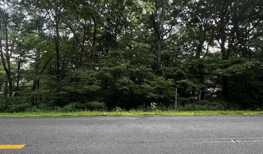 Photo #4 of TBD SHAMOKIN SPRINGS TRL, WINTERGREEN RESORT, VA 0.4 acres