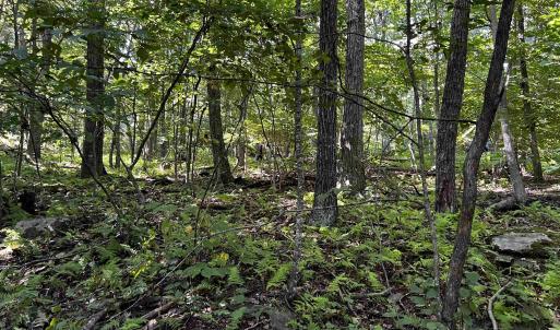 Photo #10 of TBD SHAMOKIN SPRINGS TRL, WINTERGREEN RESORT, VA 0.4 acres