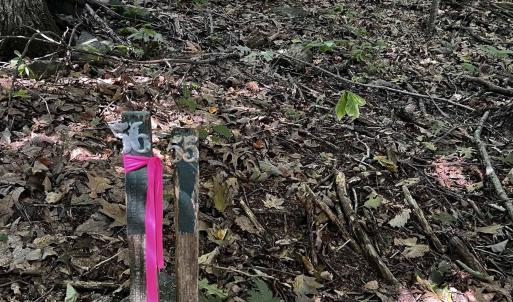 Photo #7 of TBD SHAMOKIN SPRINGS TRL, WINTERGREEN RESORT, VA 0.4 acres