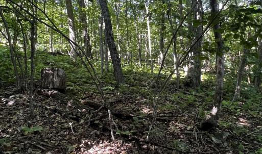 Photo #6 of TBD SHAMOKIN SPRINGS TRL, WINTERGREEN RESORT, VA 0.4 acres
