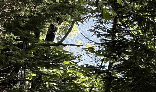 Mountain views in the winter!