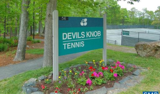 Photo #18 of TBD SHAMOKIN SPRINGS TRL, WINTERGREEN RESORT, VA 0.4 acres