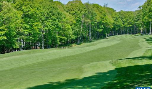 Photo #17 of TBD SHAMOKIN SPRINGS TRL, WINTERGREEN RESORT, VA 0.4 acres