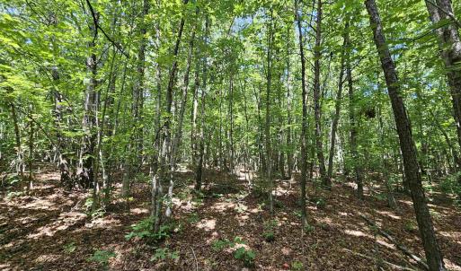 Photo #38 of TBD JAMES ANDERSON HWY, GLADSTONE, VA 100.8 acres
