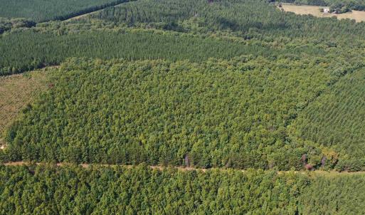 Photo #51 of TBD JAMES ANDERSON HWY, GLADSTONE, VA 100.8 acres