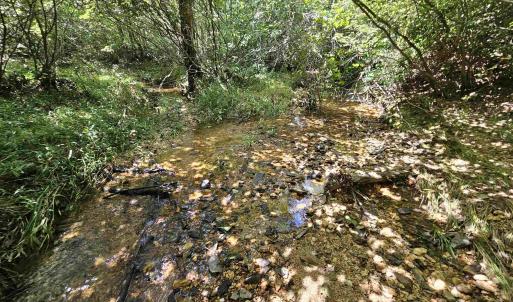 Photo #5 of TBD JAMES ANDERSON HWY, GLADSTONE, VA 100.8 acres