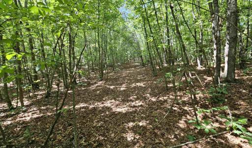 Photo #8 of TBD JAMES ANDERSON HWY, GLADSTONE, VA 100.8 acres