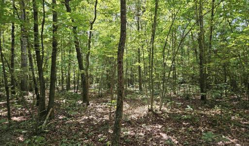 Photo #25 of TBD JAMES ANDERSON HWY, GLADSTONE, VA 100.8 acres