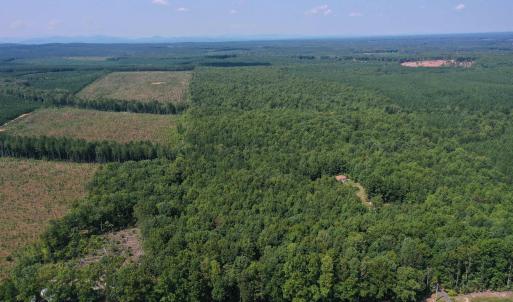 Photo #46 of TBD JAMES ANDERSON HWY, GLADSTONE, VA 100.8 acres