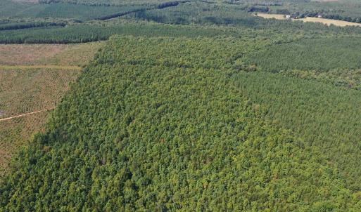 Photo #53 of TBD JAMES ANDERSON HWY, GLADSTONE, VA 100.8 acres