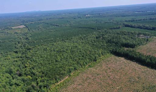 Photo #44 of TBD JAMES ANDERSON HWY, GLADSTONE, VA 100.8 acres