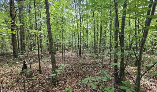 Photo #20 of TBD JAMES ANDERSON HWY, GLADSTONE, VA 100.8 acres
