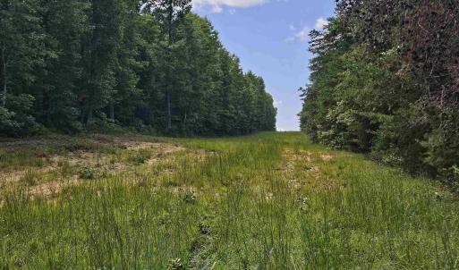 Photo #11 of TBD JAMES ANDERSON HWY, GLADSTONE, VA 100.8 acres