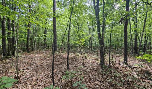 Photo #21 of TBD JAMES ANDERSON HWY, GLADSTONE, VA 100.8 acres