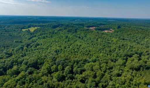 Photo #15 of Lot 2 STAG RD, BREMO BLUFF, VA 16.6 acres