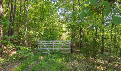 Photo #4 of Lot 2 STAG RD, BREMO BLUFF, VA 16.6 acres