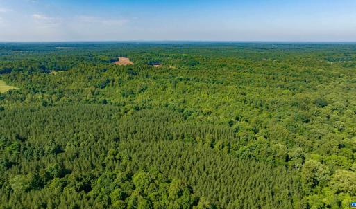 Photo #19 of Lot 2 STAG RD, BREMO BLUFF, VA 16.6 acres