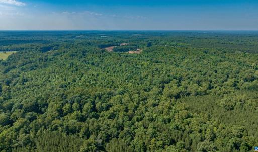 Photo #7 of Lot 2 STAG RD, BREMO BLUFF, VA 16.6 acres