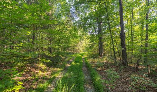 Photo #5 of Lot 1 STAG RD, BREMO BLUFF, VA 16.6 acres
